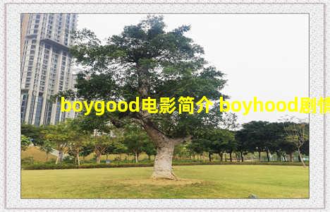 boygood电影简介 boyhood剧情